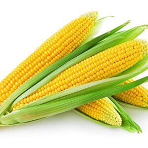 corn